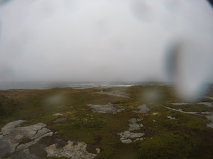 Photograph of Pinchard's Island, Newfoundland — September 12, 2017 at 5:59 PM