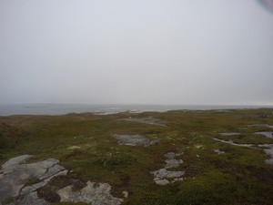 Photograph of Pinchard's Island, Newfoundland — September 13, 2017 at 7:59 AM