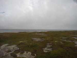Photograph of Pinchard's Island, Newfoundland — September 13, 2017 at 8:59 AM