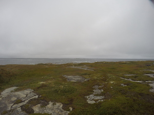 Photograph of Pinchard's Island, Newfoundland — September 13, 2017 at 9:59 AM