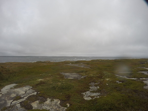 Photograph of Pinchard's Island, Newfoundland — September 13, 2017 at 10:59 AM