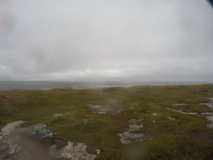 Photograph of Pinchard's Island, Newfoundland — September 13, 2017 at 2:59 PM