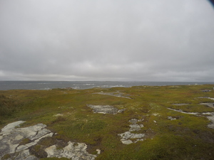 Photograph of Pinchard's Island, Newfoundland — September 13, 2017 at 3:59 PM