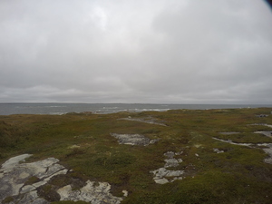 Photograph of Pinchard's Island, Newfoundland — September 13, 2017 at 4:59 PM