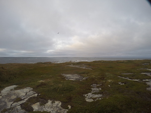 Photograph of Pinchard's Island, Newfoundland — September 13, 2017 at 6:59 PM