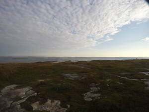 Photograph of Pinchard's Island, Newfoundland — September 14, 2017 at 7:59 AM
