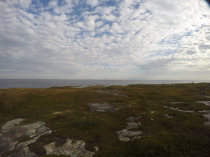Photograph of Pinchard's Island, Newfoundland — September 14, 2017 at 8:59 AM