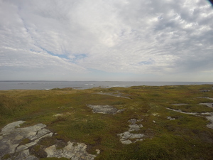Photograph of Pinchard's Island, Newfoundland — September 14, 2017 at 9:59 AM