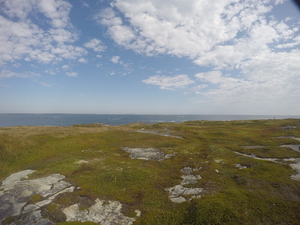Photograph of Pinchard's Island, Newfoundland — September 14, 2017 at 10:59 AM