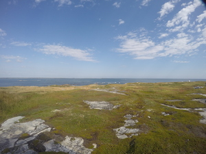 Photograph of Pinchard's Island, Newfoundland — September 14, 2017 at 11:59 AM