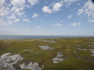 Photograph of Pinchard's Island, Newfoundland — September 14, 2017 at 12:59 PM