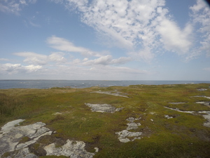 Photograph of Pinchard's Island, Newfoundland — September 14, 2017 at 1:59 PM