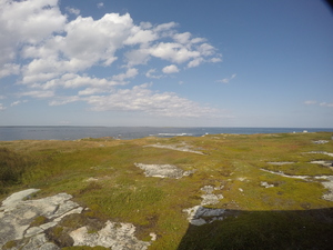 Photograph of Pinchard's Island, Newfoundland — September 14, 2017 at 2:59 PM