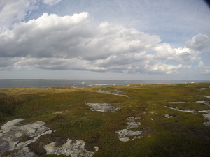 Photograph of Pinchard's Island, Newfoundland — September 14, 2017 at 3:59 PM