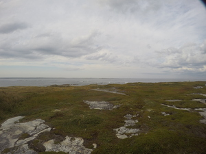 Photograph of Pinchard's Island, Newfoundland — September 14, 2017 at 4:59 PM