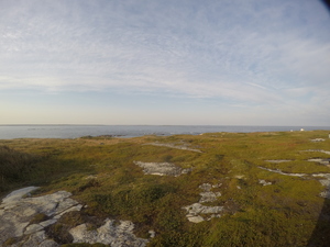 Photograph of Pinchard's Island, Newfoundland — September 14, 2017 at 5:59 PM
