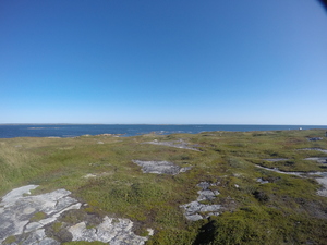 Photograph of Pinchard's Island, Newfoundland — September 15, 2017 at 9:59 AM