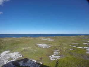 Photograph of Pinchard's Island, Newfoundland — September 15, 2017 at 12:39 PM