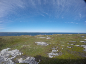 Photograph of Pinchard's Island, Newfoundland — September 15, 2017 at 1:42 PM