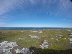Photograph of Pinchard's Island, Newfoundland — September 15, 2017 at 1:44 PM