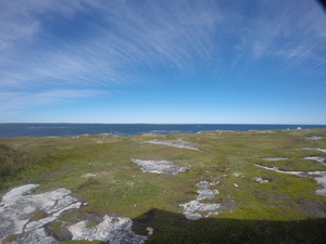Photograph of Pinchard's Island, Newfoundland — September 15, 2017 at 1:59 PM