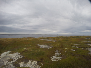 Photograph of Pinchard's Island, Newfoundland — September 16, 2017 at 7:59 AM