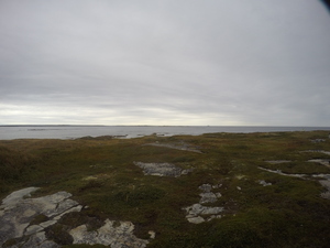 Photograph of Pinchard's Island, Newfoundland — September 16, 2017 at 8:59 AM