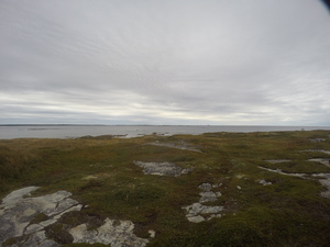 Photograph of Pinchard's Island, Newfoundland — September 16, 2017 at 9:59 AM