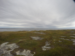 Photograph of Pinchard's Island, Newfoundland — September 16, 2017 at 10:59 AM