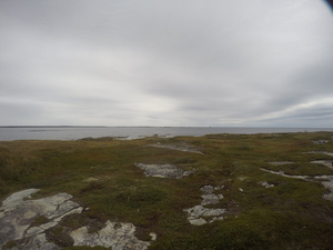 Photograph of Pinchard's Island, Newfoundland — September 16, 2017 at 11:59 AM