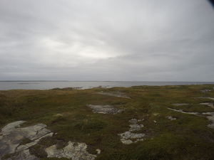 Photograph of Pinchard's Island, Newfoundland — September 16, 2017 at 12:59 PM