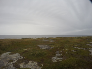 Photograph of Pinchard's Island, Newfoundland — September 16, 2017 at 1:59 PM