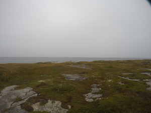 Photograph of Pinchard's Island, Newfoundland — September 16, 2017 at 2:59 PM