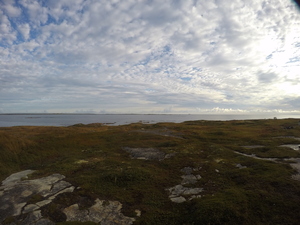 Photograph of Pinchard's Island, Newfoundland — September 17, 2017 at 7:59 AM