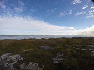 Photograph of Pinchard's Island, Newfoundland — September 17, 2017 at 8:59 AM