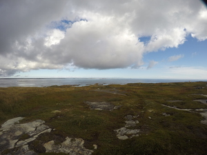 Photograph of Pinchard's Island, Newfoundland — September 17, 2017 at 10:59 AM