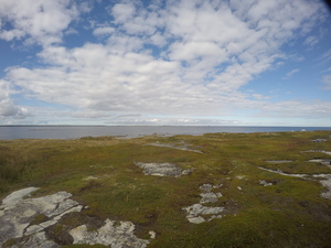 Photograph of Pinchard's Island, Newfoundland — September 17, 2017 at 2:59 PM
