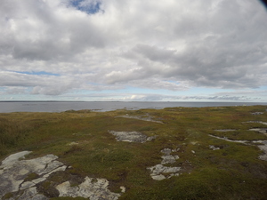 Photograph of Pinchard's Island, Newfoundland — September 17, 2017 at 3:59 PM