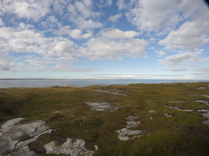 Photograph of Pinchard's Island, Newfoundland — September 17, 2017 at 4:59 PM