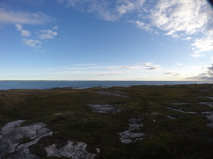 Photograph of Pinchard's Island, Newfoundland — September 18, 2017 at 7:59 AM