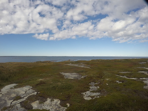 Photograph of Pinchard's Island, Newfoundland — September 18, 2017 at 3:59 PM
