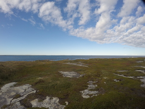 Photograph of Pinchard's Island, Newfoundland — September 18, 2017 at 4:59 PM