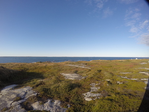 Photograph of Pinchard's Island, Newfoundland — September 18, 2017 at 5:59 PM