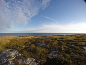 Photograph of Pinchard's Island, Newfoundland — September 19, 2017 at 7:59 AM