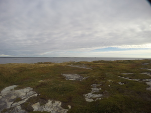 Photograph of Pinchard's Island, Newfoundland — September 19, 2017 at 8:59 AM