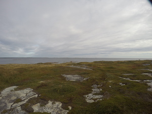 Photograph of Pinchard's Island, Newfoundland — September 19, 2017 at 9:59 AM