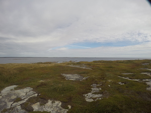 Photograph of Pinchard's Island, Newfoundland — September 19, 2017 at 10:59 AM