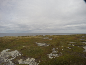 Photograph of Pinchard's Island, Newfoundland — September 19, 2017 at 11:59 AM