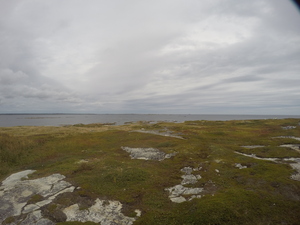 Photograph of Pinchard's Island, Newfoundland — September 19, 2017 at 12:59 PM