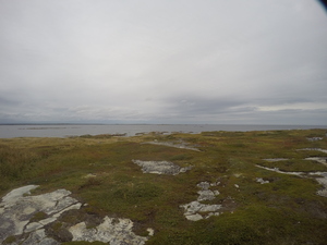 Photograph of Pinchard's Island, Newfoundland — September 19, 2017 at 1:59 PM